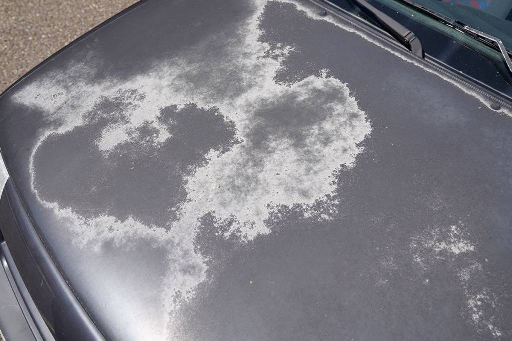 Как восстановить свежесть автомобиля? Подробная инструкция перед ...